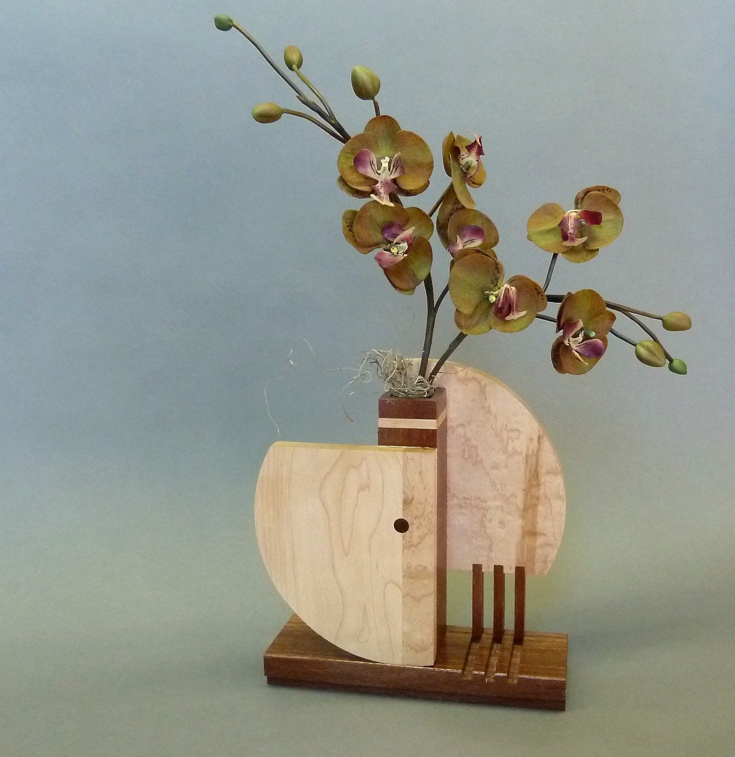 Curvature     Maple/Ipe   6" H